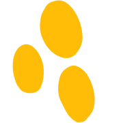 Three dots icon