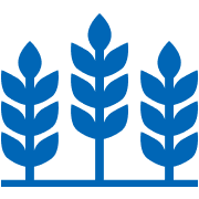 wheat icon