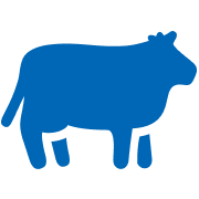 cow icon